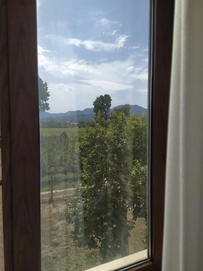 Agriturismo Il Casale Del Cavaliere SantʼAgata deʼ Goti Exterior foto